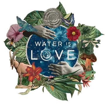Water Is Love logo