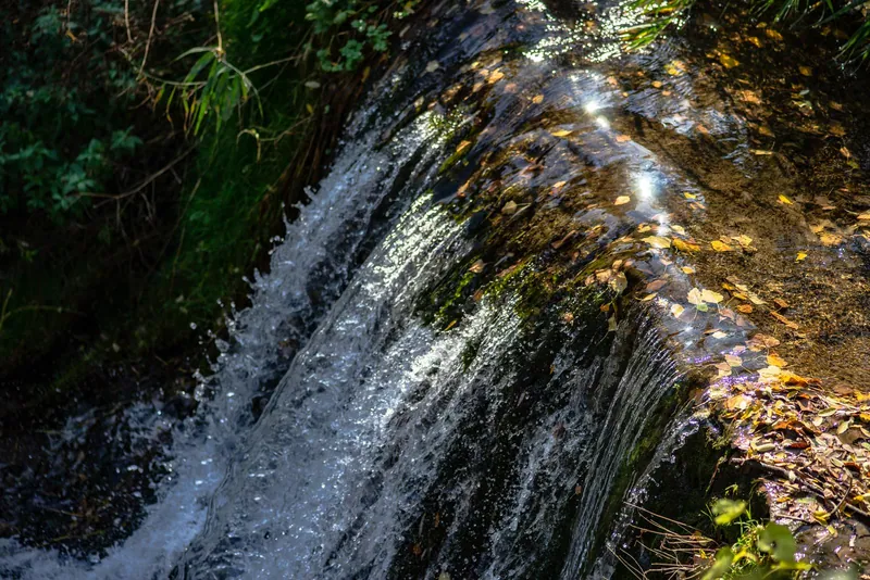 A stream running over rocks in a forest waterfall